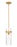 1 Light Pendant | 7002P5-ROD-RB