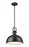 1 Light Pendant | 725P12-MB