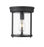 1 Light Flush Mount | 742F9-MB