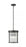 3 Light Pendant | 7504P10-MB