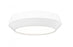1 Light Flush Mount | 7701F12-MW-LED