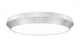 1 Light Flush Mount | 7701F20-BN-LED