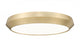 1 Light Flush Mount | 7701F20-MGLD-LED