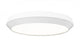 1 Light Flush Mount | 7701F20-MW-LED