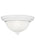 Geary Transitional 2-light Indoor Dimmable Ceiling Flush Mount Fixture In White Finish With Satin Et | 77064-15