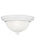 Generation Lighting Geary transitional 2-light indoor dimmable ceiling flush mount fixture in white finish with satin et