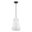 1 Light Convertible Pendant Light / Luminaire Suspendu Convertible 1 Light | 207792A