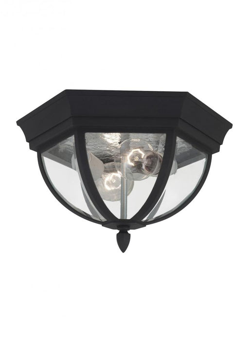 Generation Lighting Wynfield traditional 2-light outdoor exterior ceiling ceiling flush mount in black finish with clear