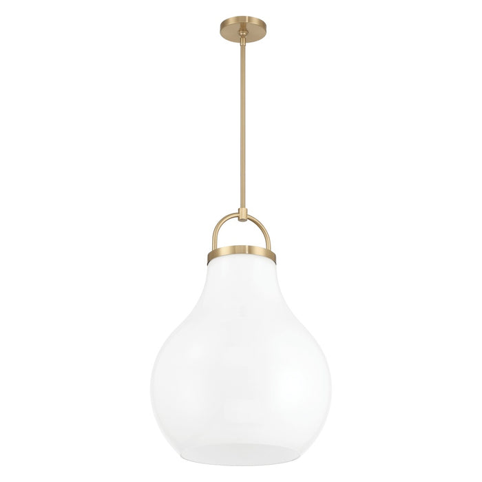 1 Light Pendant Light / Luminaire Suspendu 1 Light | 207655A