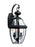 Generation Lighting Lancaster traditional 2-light LED outdoor exterior wall lantern sconce in black finish with clear cu