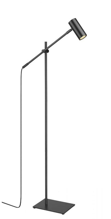 1 Light Floor Lamp | 814FL-MB