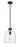 1 Light Pendant | 817-9MB