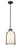 1 Light Pendant | 818-9MB