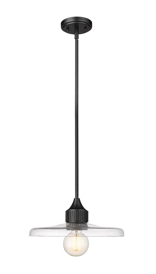 1 Light Pendant | 821P14-MB