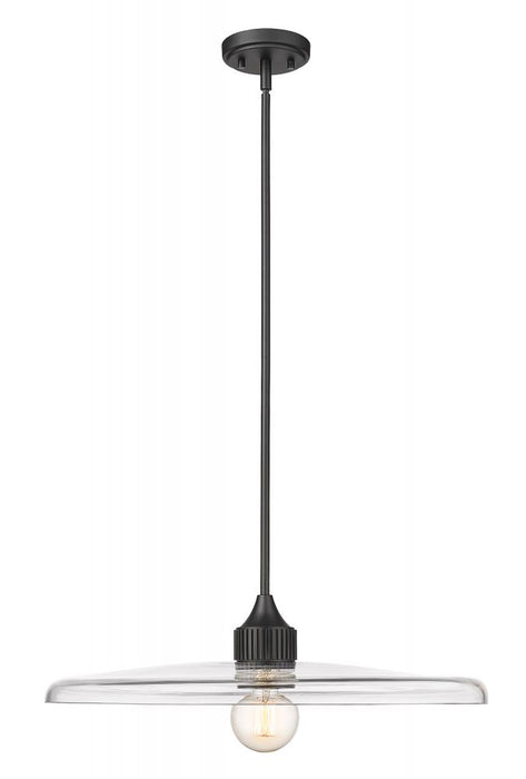 1 Light Pendant | 821P24-MB