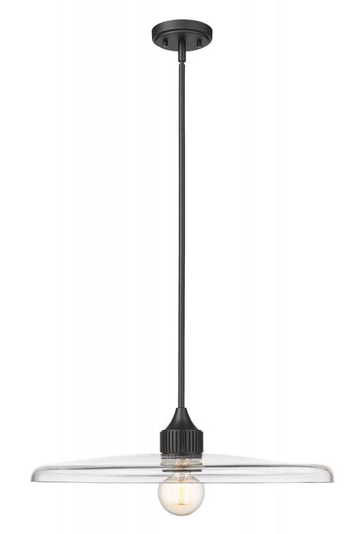 1 Light Pendant | 821P24-MB