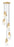 5 Light Chandelier | 828P7-5R-MGLD