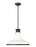 1 Light Pendant | 831P18-MB