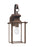 Generation Lighting Jamestowne transitional 1-light large outdoor exterior wall lantern in antique bronze finish with cl