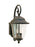 Generation Lighting Trafalgar traditional 2-light LED outdoor exterior large wall lantern sconce in oxidized bronze fini