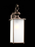 Generation Lighting Jamestowne transitional 1-light LED extra large outdoor exterior wall lantern in antique bronze fini