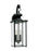 Jamestowne Two Light Outdoor Wall Lantern | 8468-12