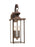 Generation Lighting Jamestowne transitional 2-light LED outdoor exterior wall lantern in antique bronze finish with clea