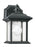 Generation Lighting Wynfield traditional 1-light outdoor exterior wall lantern sconce downlight in black finish with cle