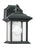 Wynfield One Light Outdoor Wall Lantern | 85200-12