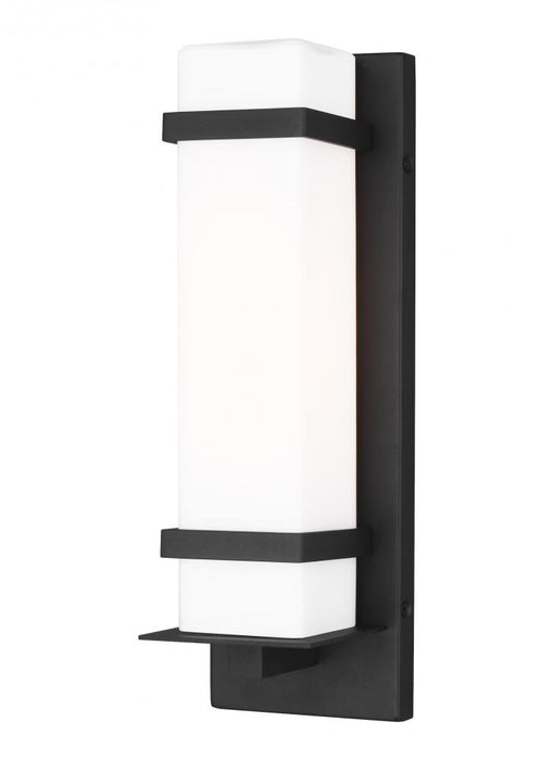 Alban Small One Light Outdoor Wall Lantern | 8520701-12