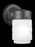 One Light Outdoor Wall Lantern | 8550001-12