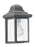 Mullberry Hill One Light Outdoor Wall Lantern | 8588-10