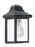 Mullberry Hill One Light Outdoor Wall Lantern | 8588-12