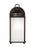 Generation Lighting New Castle traditional 1-light LED outdoor exterior large wall lantern sconce in antique bronze fini