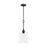 Ilia 1-light Pendant With Clear Glass Shade | P500514-31M