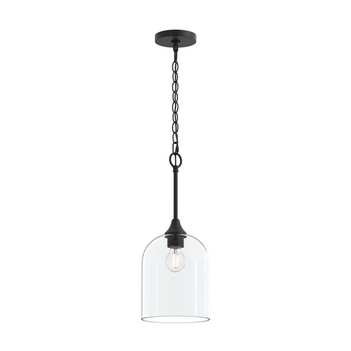 Ilia 1-light Pendant With Clear Glass Shade | P500514-31M