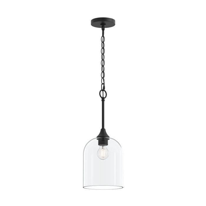 Ilia 1-light Pendant With Clear Glass Shade | P500514-31M