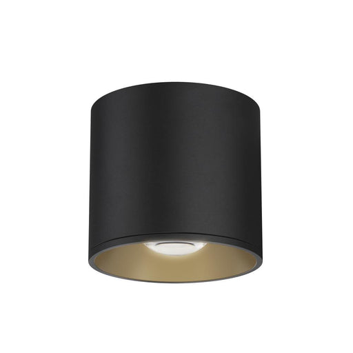 Stout-flush Mount | 86212BK