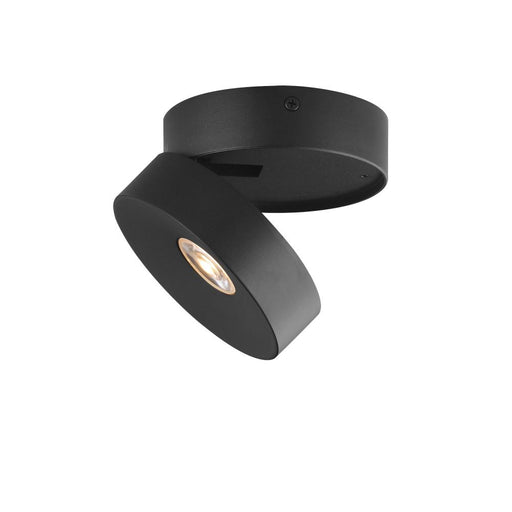 Swinger- Flush Mount | 86243BK