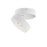 Swinger- Flush Mount | 86243WT