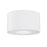 Fulcrum- Flush Mount | 86250WT