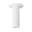 Fulcrum- Flush Mount | 86251WT