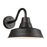 Barn Light Medium One Light Outdoor Turtle Friendly Wall Lantern | 8637401-71/T