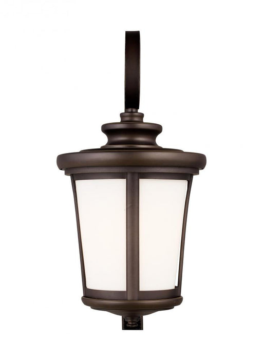 Eddington Large One Light Outdoor Wall Lantern | 8719301-71