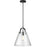 1lt Incandescent Pendant, Black W/ Clear Glass | 871P-BK