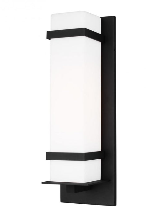 Alban Large One Light Outdoor Wall Lantern | 8720701-12
