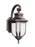 Generation Lighting Childress traditional 1-light outdoor exterior large wall lantern sconce in antique bronze finish wi