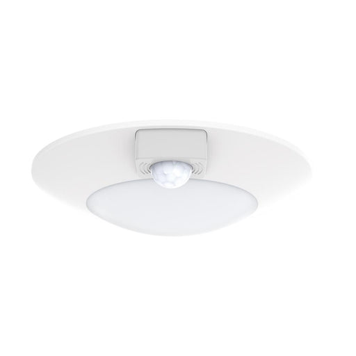 Diverse-utility Items | 87405WTWT