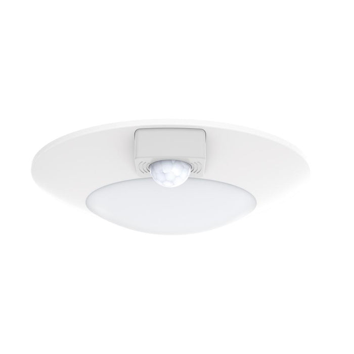 Diverse-utility Items | 87405WTWT