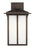 Generation Lighting Tomek modern 1-light outdoor exterior large wall lantern sconce in antique bronze finish with etched